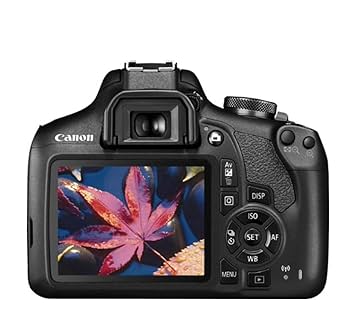 Amazon.com : Canon EOS Rebel T7 DSLR Camera|2 Lens Kit with